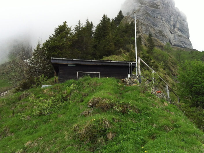 Steinbockhütte – Loppergrat   03.06.2012