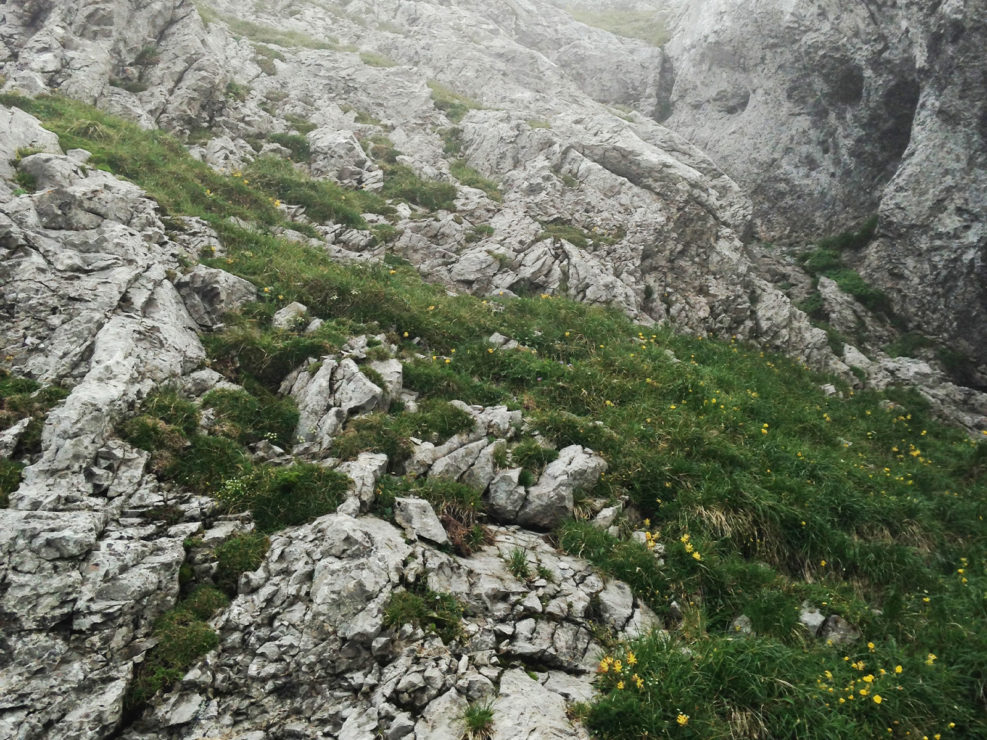 Esel Südgrat (Pilatus)   01.08.2014