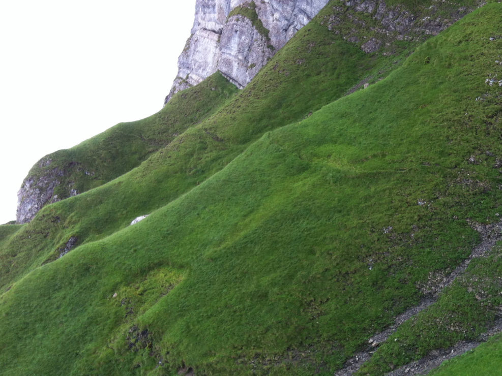 Nauenweg – Ängifeld   15.07.2012