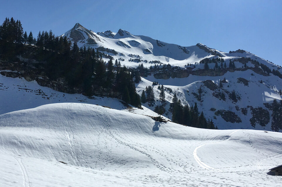 Skitour:   Schnierenhireli
