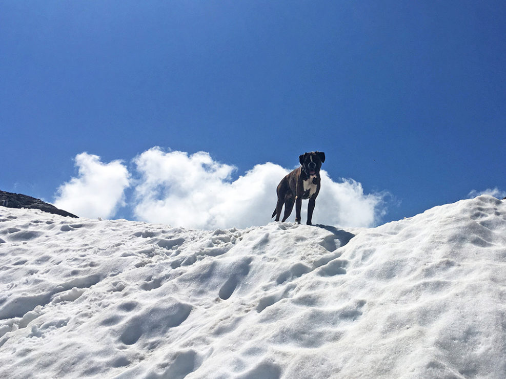 Rotgrätli, Walenalp   08.07.2018