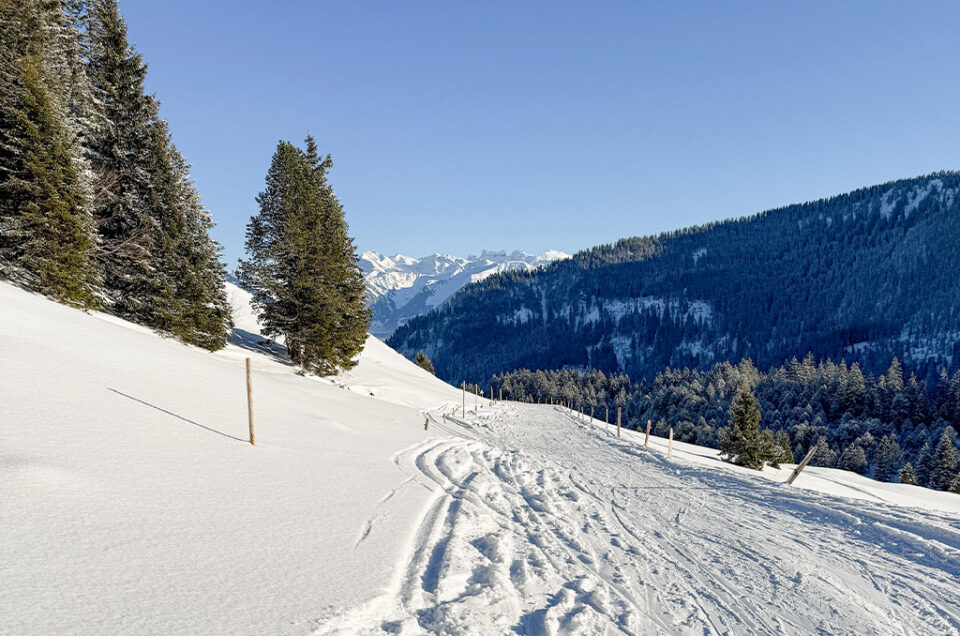 Nachmittags-Skitour Glaubenberg
