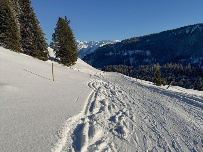 Skitour Glaubenberg &nbsp;&nbsp;11.01.2026