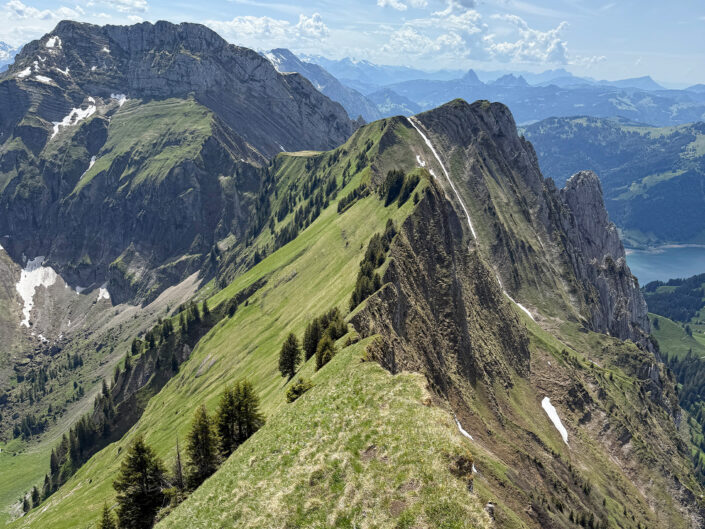 Sööligrat, Tierberg, Bockmattli &nbsp;&nbsp;31.05.2025