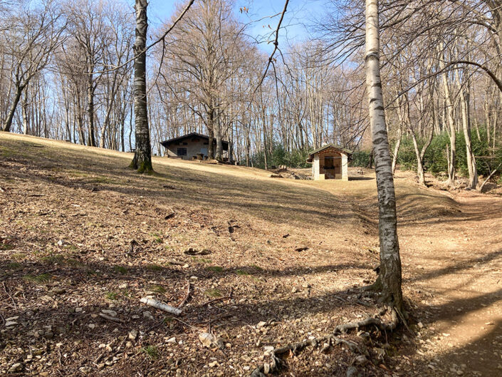 Mt. San Giorgio &nbsp;&nbsp;21.01.2025