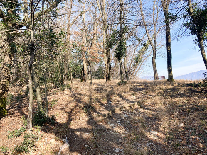Mt. San Giorgio – 21.02.2025